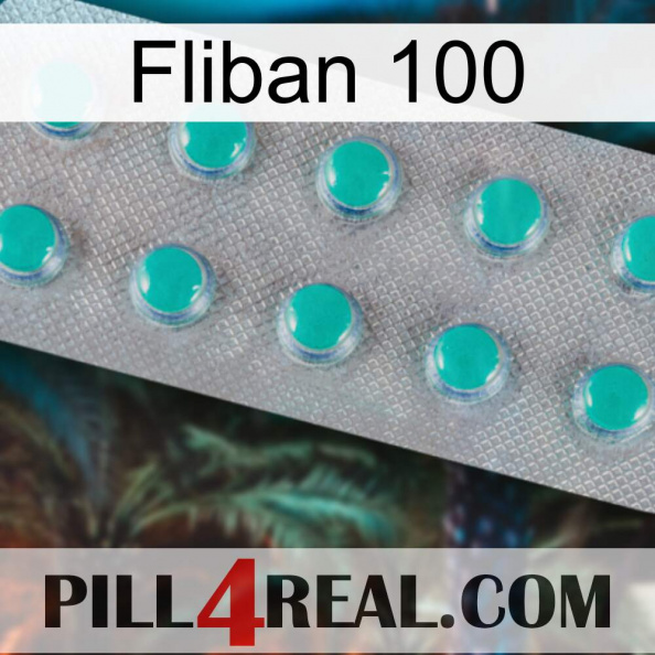 Fliban 100 28.jpg